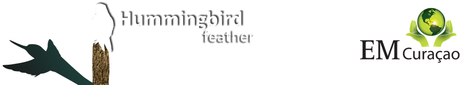 HummingbirdFeather_Header