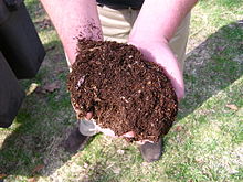 220px-Compost-dirt