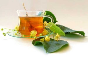 alternative medicine herbs