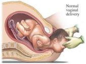 birth canal