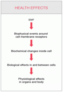 EM-radiation-exposure-effect