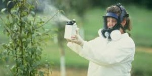 chemical spraying 2